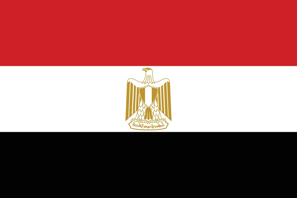 Saudi Logo